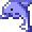 🐬